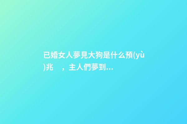 已婚女人夢見大狗是什么預(yù)兆，主人們夢到過狗子嗎